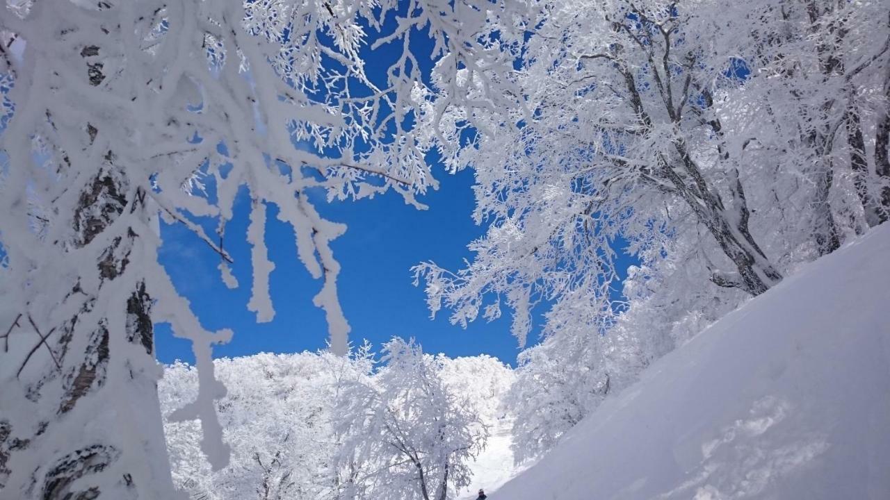 Nozawa Dream Central Exterior foto