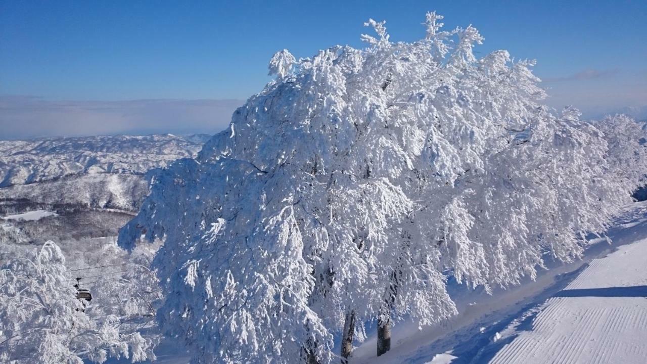 Nozawa Dream Central Exterior foto